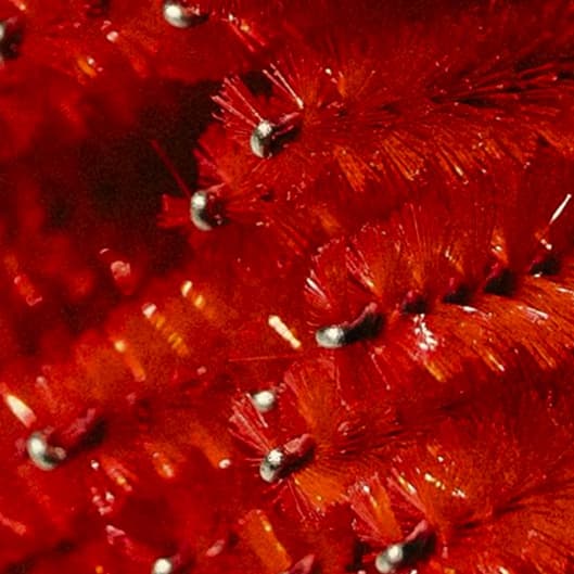 Tis the season Bundle